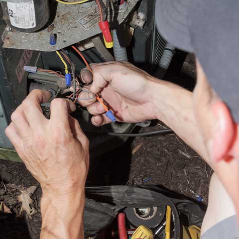 Tree Removal Section Thumbnail