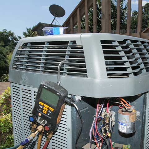 Tree Trimming & Pruning Section Thumbnail